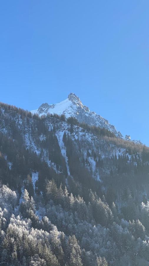 Appartamento Chamois De Chamonix, Confortable 2 Pièces, Balcon, Parking Gratuit